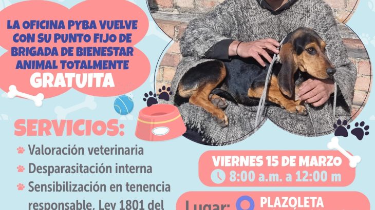 ¡Atención Usme! Brigada de Bienestar Animal este viernes 15 de marzo