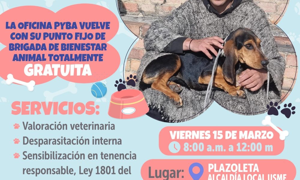 ¡Atención Usme! Brigada de Bienestar Animal este viernes 15 de marzo