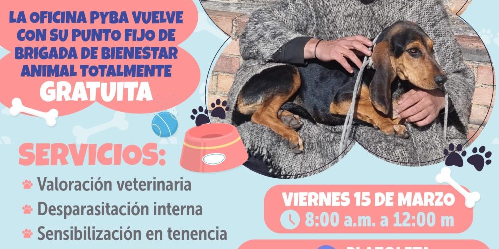 ¡Atención Usme! Brigada de Bienestar Animal este viernes 15 de marzo