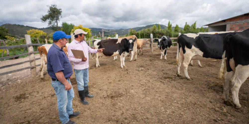 ¡Alerta para productores agropecuarios de Usme! Prevención del carbón sintomático