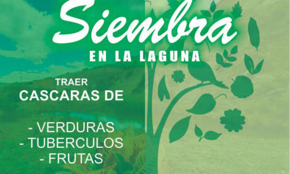 Jornada de Siembra de Árboles en la Quebrada