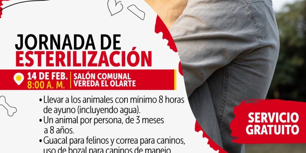 Jornada de esterilización gratuita en Usme: ¡una oportunidad para el bienestar animal!