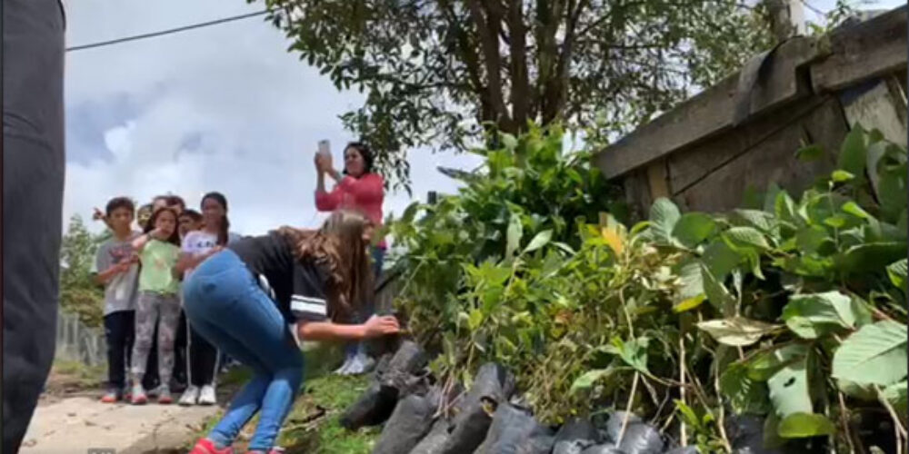 Niños del Colegio Carmen Teresiano de Usme Siembran 200 Árboles