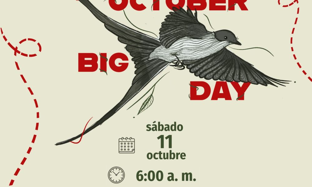 October Big Day 2025: Usme se suma a la jornada mundial de avistamiento de aves