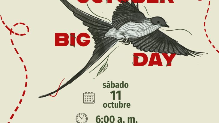 October Big Day 2025: Usme se suma a la jornada mundial de avistamiento de aves