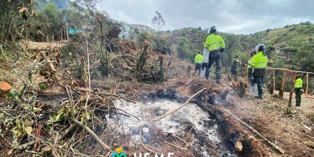 Daño ambiental en Reserva Entrenubes por invasiones en Usme