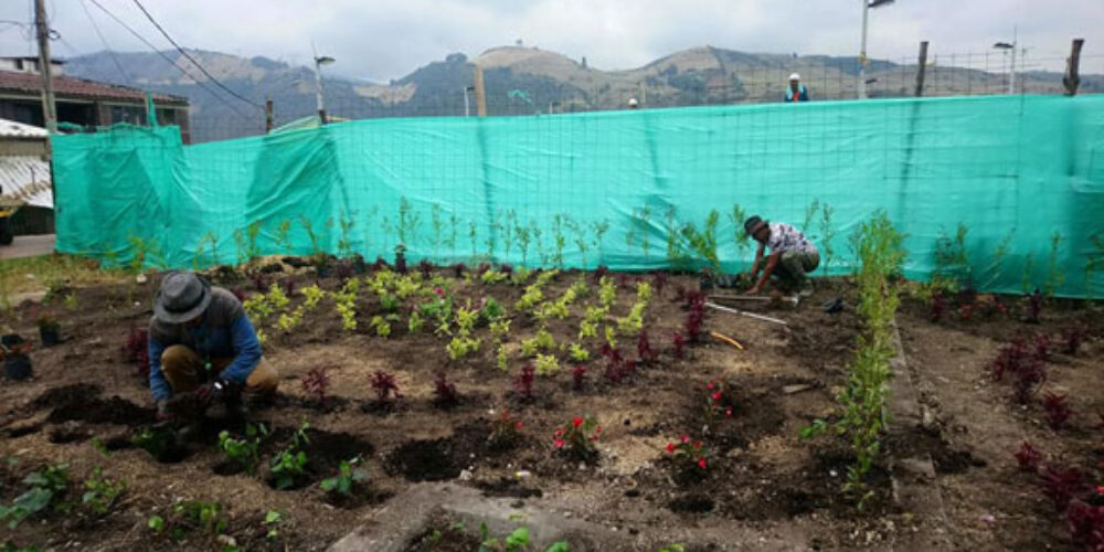 50 Jardines para la Localidad de Usme