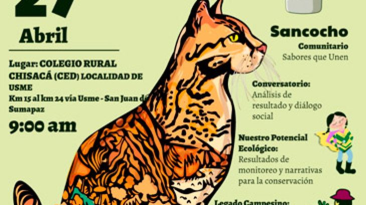 Festival del Tigrillo