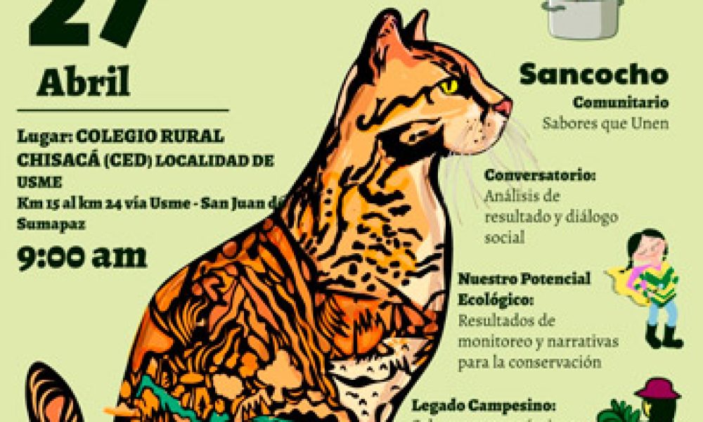 Festival del Tigrillo