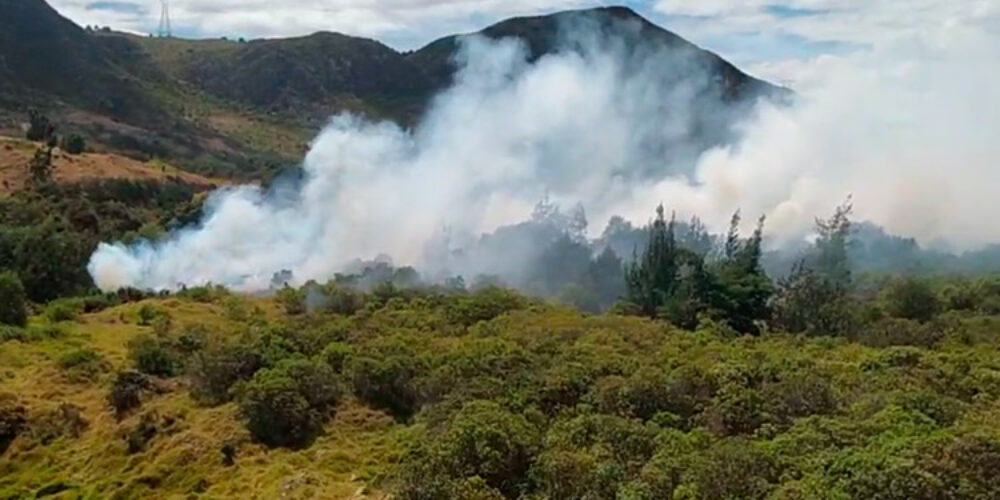Se presenta incendio forestal en el barrio Las Quintas, sector Aurora