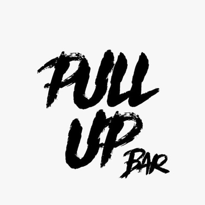 Pull Up Bar