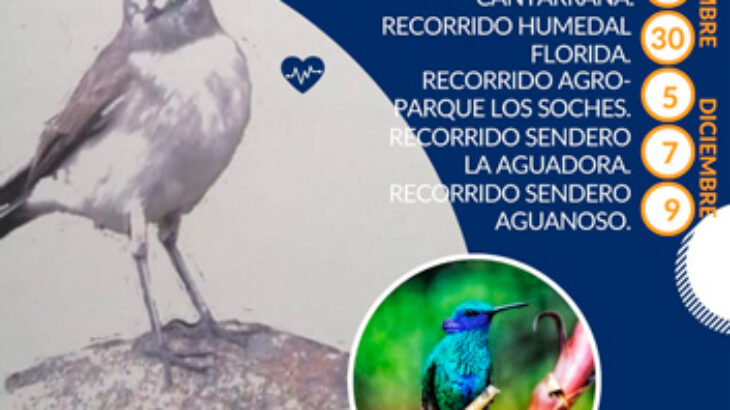Recorridos de identificación de aves para personas con discapacidad visual