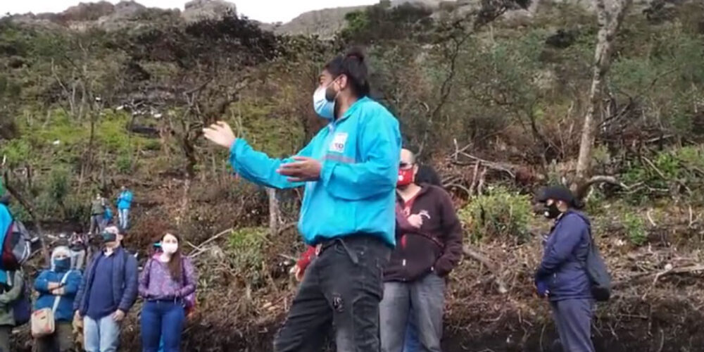 Caminata de interpretación ambiental en Entrenubes