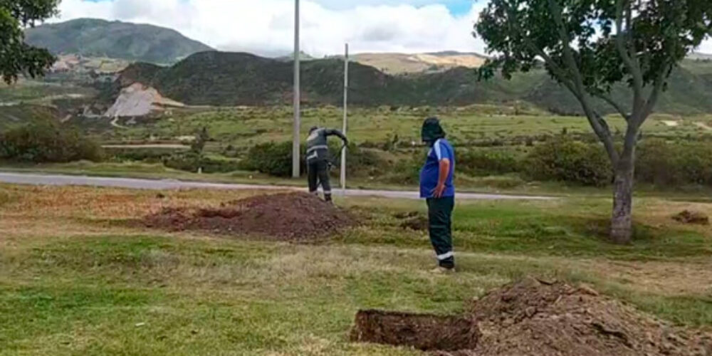 Se sembrarán más de 750 arboles en el separador de la Boyacá en Usme