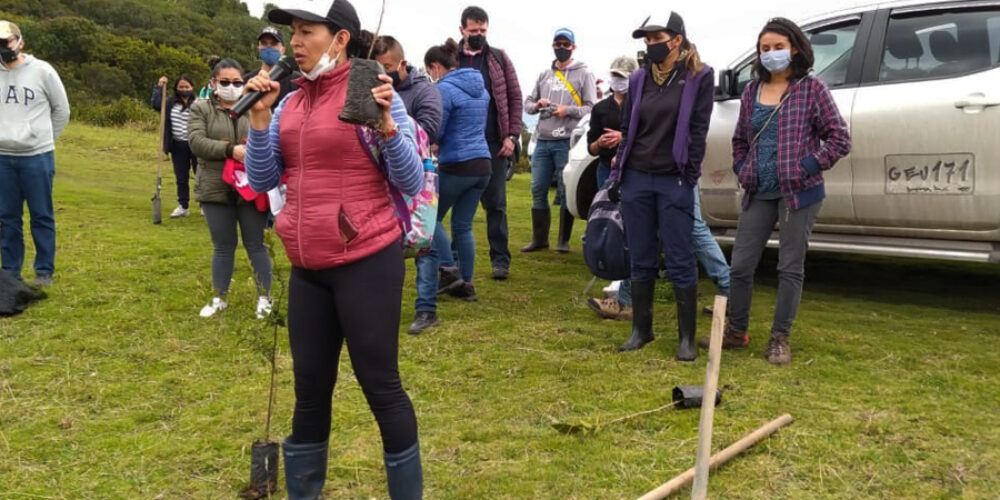 Inicia Siembra en en parque Entrenubes 🌱🌳🌿💚