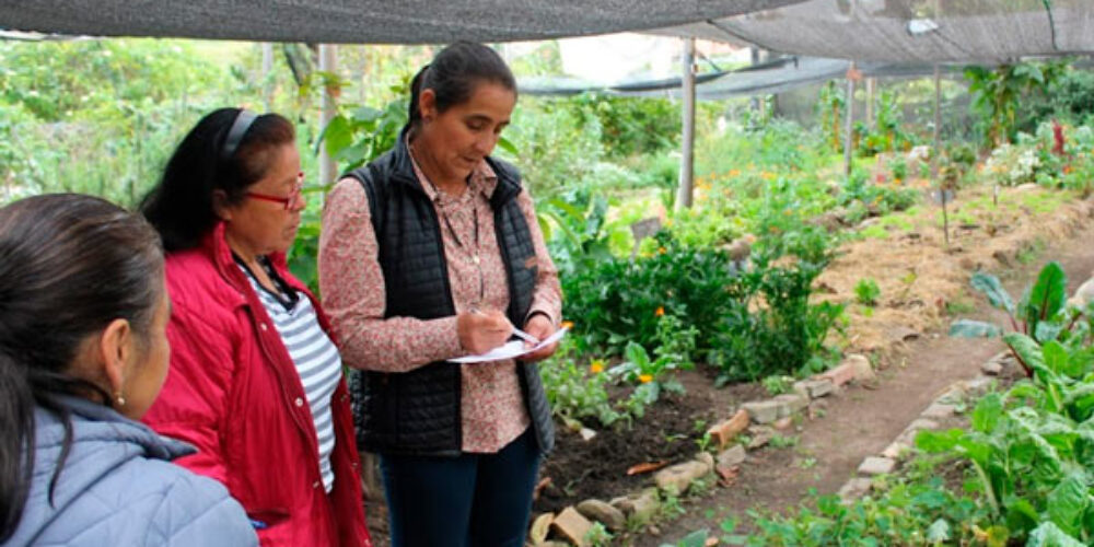 Taller de Agrobiodiversidad en Cantarrana