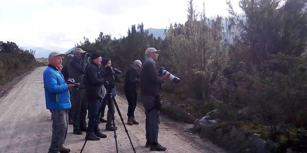 Turistas extranjeros en Usme