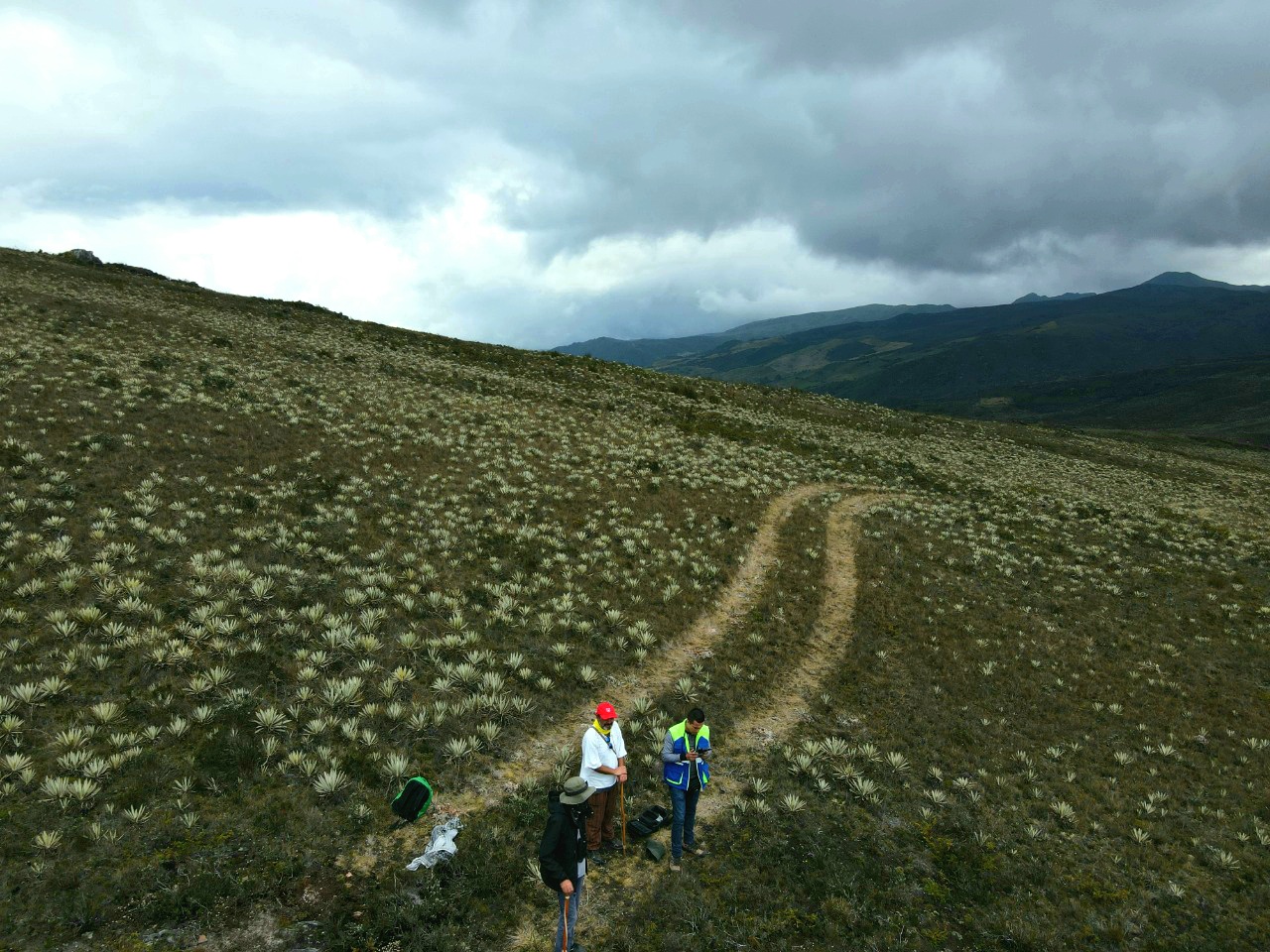 paso-de-tractor-paramo-sumapaz